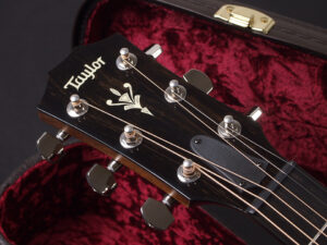 タイラー シダー セダー Ceder 杉 V-クラス 414ce 314ce 524ce 324ce mahogany GA GC エレアコ made in USA アメリカ製 522ce 512ce