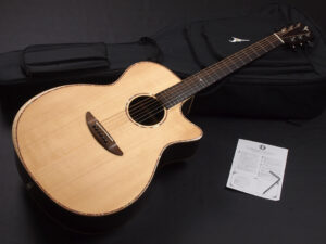 ディーシーティー ジャパン japan Cutaway カッタウェイ Takamine yamaha タカミネ ヤマハ 初心者 ビギナー 入門 女性 女子 子供 エレアコ eleaco 800CES