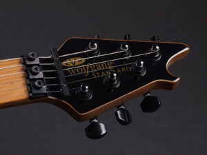 ヴァンヘイレン エディ Edward Van Halen Eddie PEAVEY Musicman Axis 5150 Friedman Brown ウルフギャング Kramer クレーマー