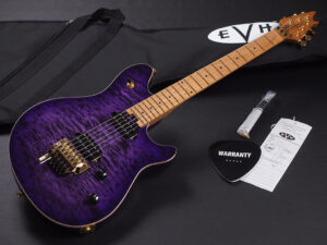 ヴァンヘイレン エディ Edward Van Halen Eddie PEAVEY Musicman Axis 5150 Friedman Brown ウルフギャング Kramer クレーマー