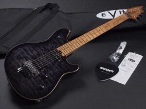 ヴァンヘイレン エディ Edward Van Halen Eddie PEAVEY Musicman Axis 5150 Friedman Brown ウルフギャング Kramer クレーマー