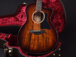 タイラー コア 314 214 114 big baby ハワイアンコア hawaiian GA エレアコ 200 DLX Series 214ce deluxe Grand Auditorium