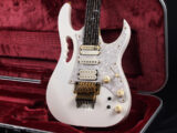 Buzz Feiten バズフェイトン Sustainer サスティナー Steve Vai スティーブ ヴァイ EVO FLO T's Fujigen フジゲン RG S