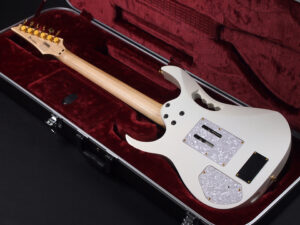 Buzz Feiten バズフェイトン Sustainer サスティナー Steve Vai スティーブ ヴァイ EVO FLO T's Fujigen フジゲン RG S