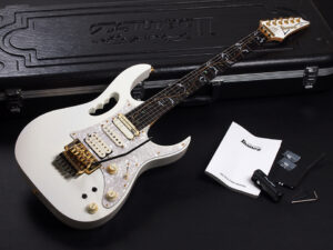 Buzz Feiten バズフェイトン Sustainer サスティナー Steve Vai スティーブ ヴァイ EVO FLO T's Fujigen フジゲン RG S