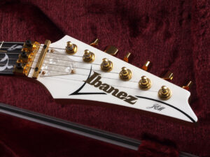 Buzz Feiten バズフェイトン Sustainer サスティナー Steve Vai スティーブ ヴァイ EVO FLO T's Fujigen フジゲン RG S