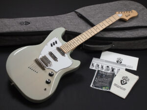 サーフライナー S-100 POLARA STARFIRE スターファイヤー HH ビザール Bizzare 白 グリーン Green 緑 Sonic セージ サーフキャスター Surfcaster