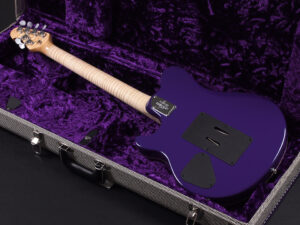 Peavey EVH Wolfgang USA Signature EX エディ ヴァン ヘイレン Limited 限定 5150 Charvel Quilt Flame