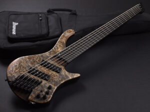 strandberg Steinberger bacchus Dingwall ヘッドレス ファンフレット 6弦 多弦 6st マルチスケール