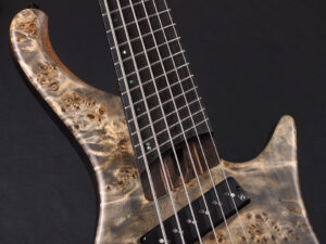 strandberg Steinberger bacchus Dingwall ヘッドレス ファンフレット 6弦 多弦 6st マルチスケール