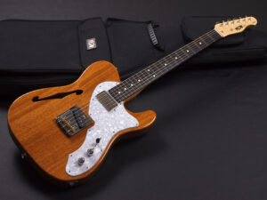 Fujigen (FgN) 富士弦 fgn history coolz ヒストリー bacchus バッカス tokai フェンダーFender Telecaster テレキャス