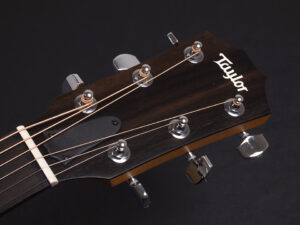 タイラー 114ce 214e 314ce Koa RW ローズウッド DLX deluxe エレアコ electric acoustic ES2 初心者 入門 女子 Plus プラス GA +