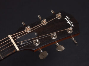 タイラー 114ce 414ce 314ce 2020 ローズウッド DLX deluxe エレアコ electric acoustic ES2 初心者 入門 プラス RW ローズ + koa 224