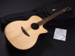 ディーシーティー ジャパン japan Cutaway カッタウェイ Takamine yamaha タカミネ ヤマハ 初心者 ビギナー 入門 女性 女子 子供 エレアコ eleaco 800CES