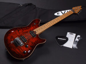 ヴァンヘイレン エディ Edward Van Halen Eddie PEAVEY Musicman Axis 5150 Friedman Brown ウルフギャング Kramer クレーマー