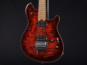 ヴァンヘイレン エディ Edward Van Halen Eddie PEAVEY Musicman Axis 5150 Friedman Brown ウルフギャング Kramer クレーマー