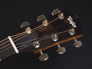 タイラー 114ce 414ce 314ce 2020 ローズウッド DLX deluxe エレアコ electric acoustic ES2 初心者 入門 プラス RW ローズ + koa 224