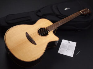 ディーシーティー ジャパン japan Cutaway カッタウェイ Takamine yamaha タカミネ ヤマハ 初心者 ビギナー 入門 女性 女子 子供 エレアコ eleaco 800CES