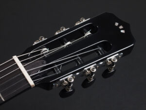 コルドバ ステージ ギター クラシック ガット ナイロン エレガット Nylon Classic ele Gut Godin A6 Duet Acoustasonic Fender Multiac