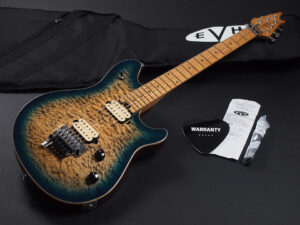 ヴァンヘイレン エディ Edward Van Halen Eddie PEAVEY Musicman Axis 5150 Friedman Brown ウルフギャング Kramer クレーマー