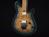 ヴァンヘイレン エディ Edward Van Halen Eddie PEAVEY Musicman Axis 5150 Friedman Brown ウルフギャング Kramer クレーマー