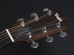 タイラー 114e 114ce 110e 212ce 214ce 112ce サペリ Sapele Rosewood GA DN カッタウェイ エレアコ 女性 女子 初心者 ビギナー 子供 入門