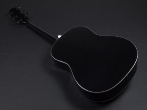 タイラー GP 117e 210ce 317e 110e 110ce DLX エレアコ electric acoustic BK Black 黒 初心者 入門 デラックス プラス ブラック EB DN