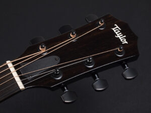 タイラー GP 117e 210ce 317e 110e 110ce DLX エレアコ electric acoustic BK Black 黒 初心者 入門 デラックス プラス ブラック EB DN