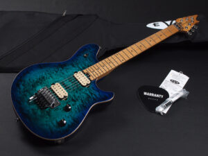 ヴァンヘイレン エディ Edward Van Halen Eddie PEAVEY Musicman Axis 5150 Friedman Brown ウルフギャング Kramer クレーマー