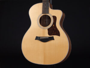 タイラー 114ce 214e 314ce Koa RW ローズウッド walnut ウォルナット エレアコ electric acoustic ES2 初心者 入門 女子 Plus プラス GA +