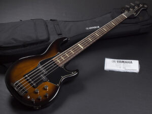 BB434 BB434M BBP34 BB234 PJ Precision PB JB jazz bass 亀田誠治 RBX broad ブロードベース 初心者 入門 SB VS サンバースト