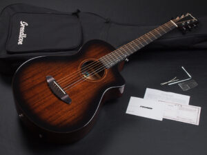 CA Pro Series Concert Pro african Mahogany ブリードラヴ 12F joint ジョイント Taylor 112ce 212ce 114ce 214ce