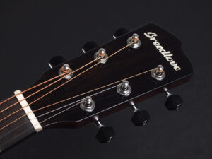 CA Pro Series Concert Pro african Mahogany ブリードラヴ 12F joint ジョイント Taylor 112ce 212ce 114ce 214ce