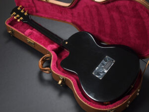 チェット アトキンス Steel Godin A6 Ultra エレアコ Eleaco solid Body ゴダン acoustasonic Player アコースタソニック 仲井戸麗市 チャボ 黒 BLK Black EB エボニー