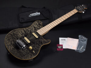 EVH Peavy HP Van Halen Tak 松本 B'z ヴァンヘイレン アクシス アクシズ wolfgang ウルフギャング Special Standard Signature