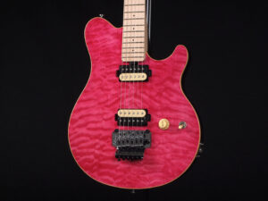 EVH Peavy HP Van Halen Tak 松本 B'z ヴァンヘイレン アクシス アクシズ wolfgang ウルフギャング Special Standard Signature