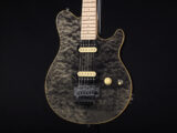 EVH Peavy HP Van Halen Tak 松本 B'z ヴァンヘイレン アクシス アクシズ wolfgang ウルフギャング Special Standard Signature