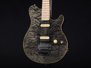 EVH Peavy HP Van Halen Tak 松本 B'z ヴァンヘイレン アクシス アクシズ wolfgang ウルフギャング Special Standard Signature