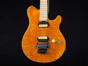 EVH Peavy HP Van Halen Tak 松本 B'z ヴァンヘイレン アクシス アクシズ wolfgang ウルフギャング Special Standard Signature