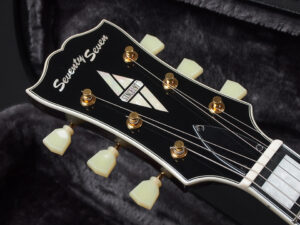 エクセルバート standard es-335 semi Hollow FGN Fujigen made in 日本製 momose Deviser Trans Black Brown ブラウン 茶色