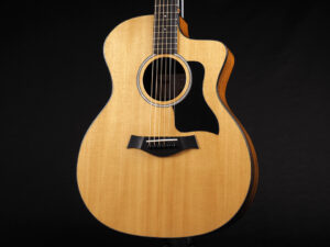 タイラー 114ce 214ce 314ce 414ce + Rosewood DLX deluxe エレアコ electric acoustic ビギナー 女子 初心者 プラス LTD 50th