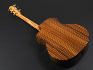 タイラー 114ce 214ce 314ce 414ce + Rosewood DLX deluxe エレアコ electric acoustic ビギナー 女子 初心者 プラス LTD 50th