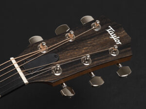 タイラー 114ce 214ce 314ce 414ce + Rosewood DLX deluxe エレアコ electric acoustic ビギナー 女子 初心者 プラス LTD 50th