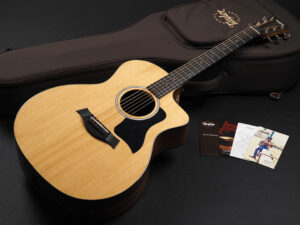 タイラー 114ce 214ce 314ce 414ce + Rosewood DLX deluxe エレアコ electric acoustic ビギナー 女子 初心者 プラス LTD 50th