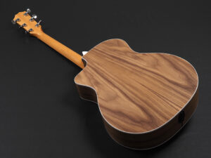 タイラー 114ce 112ce 212ce 314ce Rosewood ローズウッド walnut ウォルナット エレアコ ES2 初心者 入門 女子 ビギナー 子供 Plus プラス GA NT