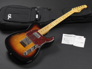 トリビュート シリーズ アサット Telecaster Thinline テレキャスター シンライン セミアコ セミホロー ブルースボーイ クラシック F Hole japan USA outlet