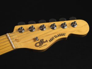 トリビュート シリーズ アサット Telecaster Thinline テレキャスター シンライン セミアコ セミホロー ブルースボーイ クラシック F Hole japan USA outlet